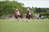 UKPA NC SAT_2718
